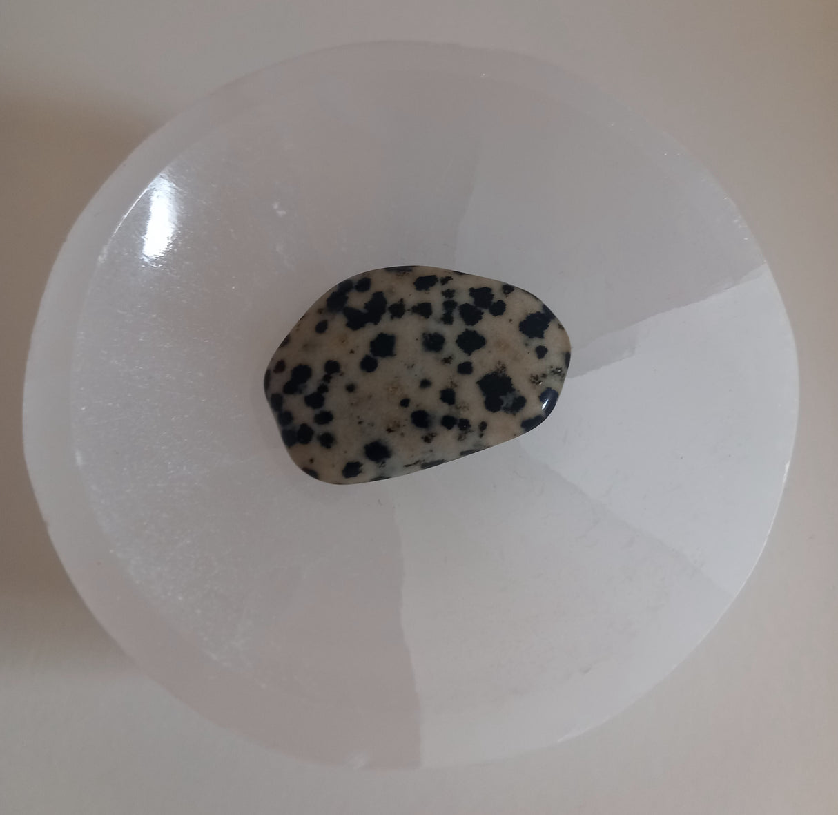 Dalmatian Jasper polished tumbled stone